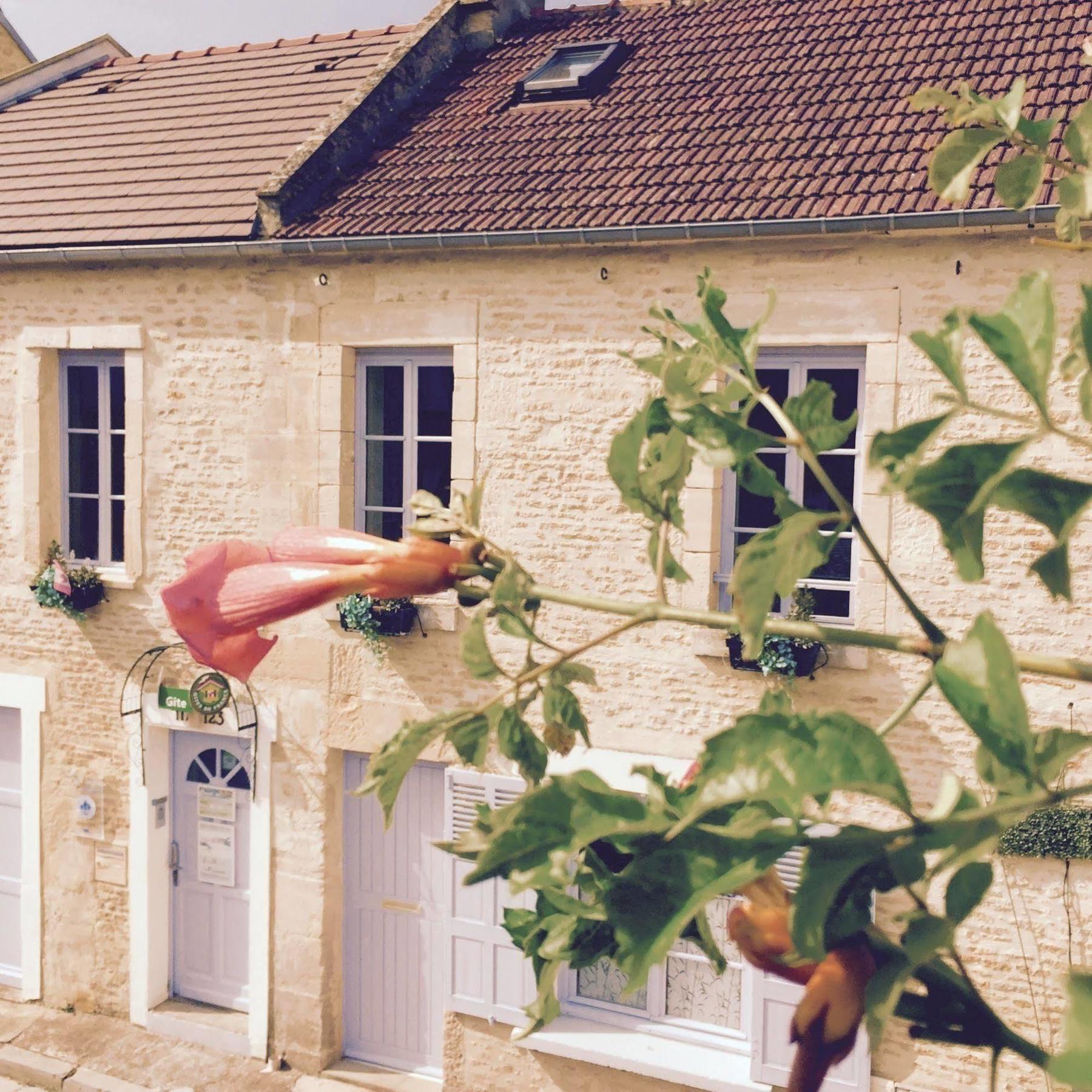 Junogite - Residence Bernières-sur-Mer Exterior foto