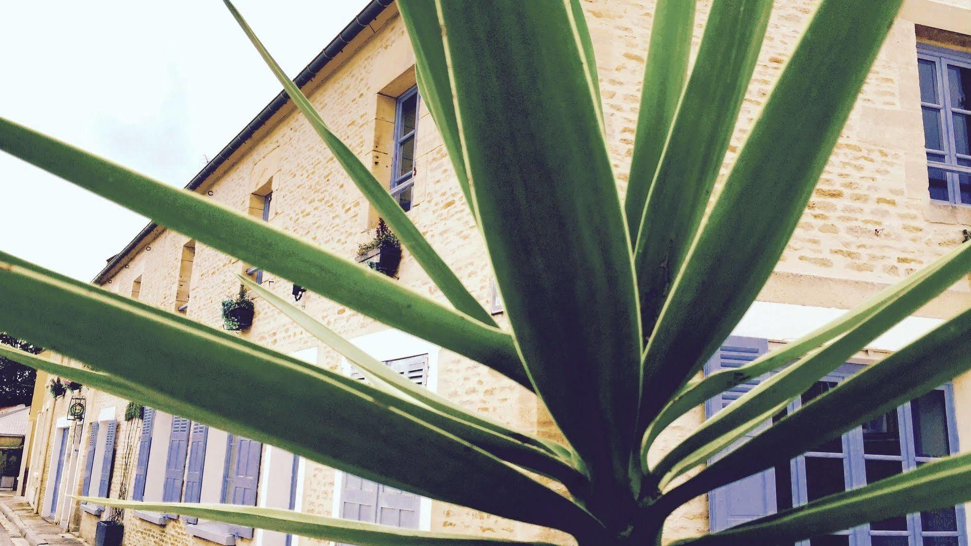 Junogite - Residence Bernières-sur-Mer Exterior foto